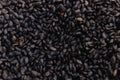 Black Chia Seeds 1 LB – Salvia hispanica, Vegan, Gluten-Free, Nutrient-Dense, Omega-3, Fiber, Baking & Smoothies