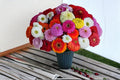 Giant California Zinnia Seeds – Zinnia elegans – Colorful Mixed Blooms for Gardens, Borders & Cut Flowers, 250 Seeds