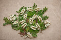 50 Seeds Black Locust Robinia pseudoacacia Hardy Deciduous Flowering Tree