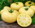 Great White Beefsteak Tomato Seeds – Heirloom Solanum lycopersicum, Large Pale Cream Fruits, Slicing Tomato, 50 Seeds