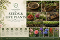 Cucuzzi Gourd Seeds – 10 Italian Edible Lagenaria Long Squash Heirloom Seeds for Trellis Gardening and Mediterranean Cuisine