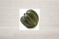 Giant Acorn Squash Seeds – Cucurbita pepo Vegetable Garden Variety, Edible Fall Harvest, 50 Seeds