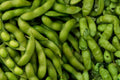 Edamame BeSweet Bean Seeds – Vegetable Soybean Glycine max for Home Garden, Green Pods, Compact Annual Plant
