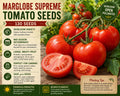Marglobe Supreme Tomato Seeds – Heirloom, Determinate Variety, Solanum lycopersicum, 130 Seeds for Home Garden Planting