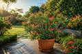 Decorative Dahlia Bulb Clump - Strawberry Cream - Perennial Flower Tubers - Dahlia pinnata for Gardens, Borders, and Containers