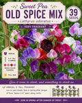 Sweet Pea Old Spice Mix Seeds – Fragrant Climbing Flower, Lathyrus odoratus, Heirloom Annual Vine for Gardens and Trellises