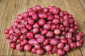 Red Chieftain Seed Potatoes 5 lbs – Heirloom Red Skin Potatoes for Garden Planting – Solanum tuberosum