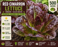 Red Cimarron Lettuce Seeds – Romaine Salad Greens, Reddish-Green Leaves, Lactuca sativa, 500 Seeds