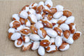 Hidatsa Shield Bean Seeds – Heirloom Climbing Dry Bean, Phaseolus vulgaris, Vegetable Garden Seeds, 20 Seeds