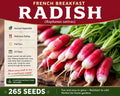 French Breakfast Radish Seeds – Raphanus sativus Heirloom Vegetable Seeds, Scarlet Red with White Tips, Fast-Growing Annual