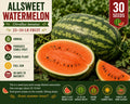 Allsweet Watermelon Seeds – Large Heirloom Citrullus lanatus, Oblong Fruit, Dark Green Stripes, Orange-Red Flesh, Garden Vegetable