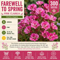 Farewell to Spring Flower Seeds 300 Pink Clarkia elegans Annual Bright Blooming Garden Plant
