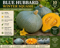 Blue Hubbard Winter Squash Seeds – Heirloom Cucurbita maxima, Large Orange Flesh, Vining Vegetable, Winter Storage Variety