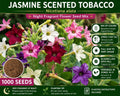 Jasmine Scented Tobacco Seeds 1000 Nicotiana alata Night Fragrant Flower Mix, Ornamental, Fragrant Trumpet Blooms