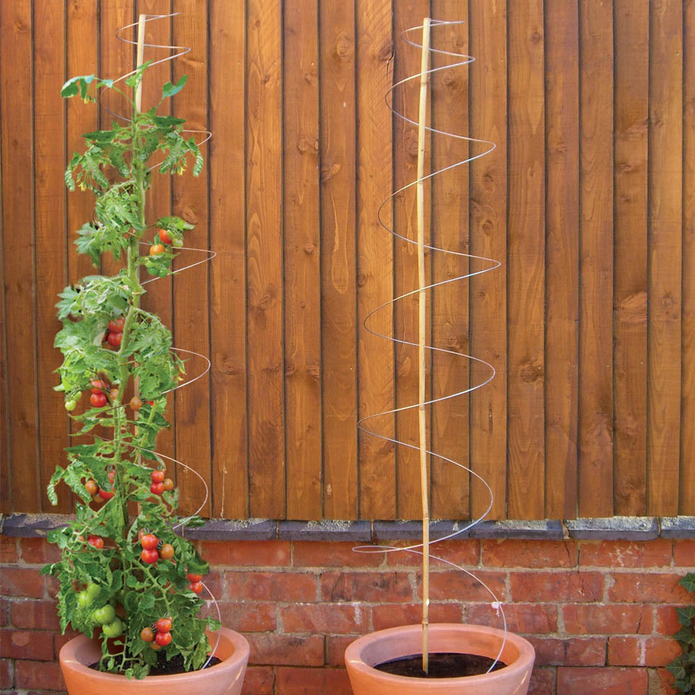 Twisters Extendable Plant Supports – Set of 3