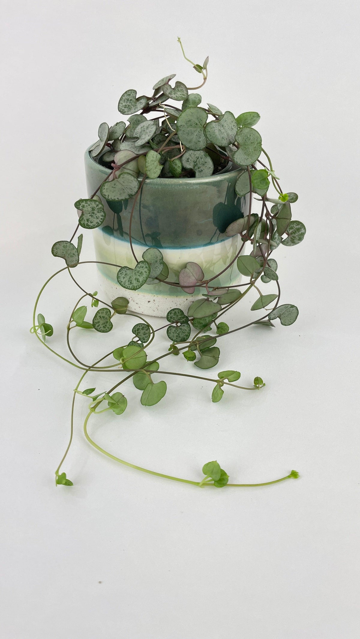 Silver Glory String of Hearts