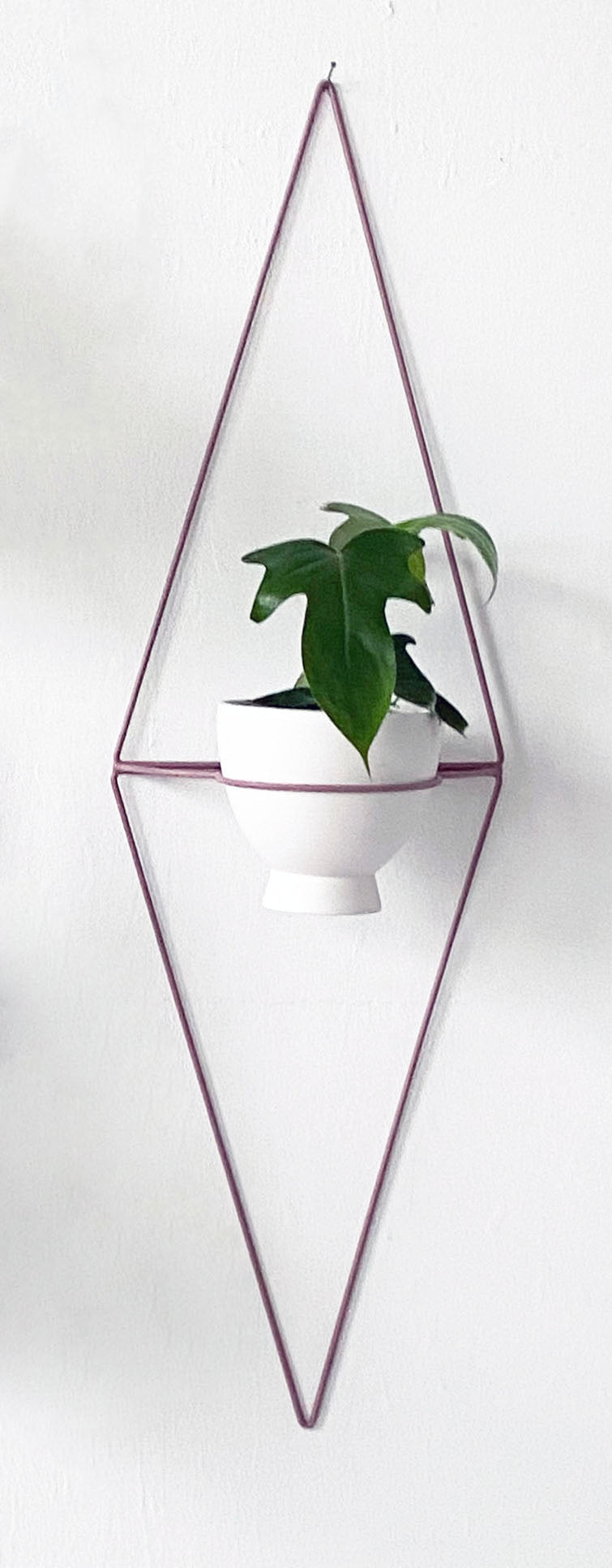 Diamond Eye Wall Planter