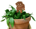 Tea Cup Poodle Plant Stake