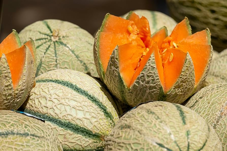 Charentais Melon Seeds - Heirloom, Non-GMO - 85 Days to Maturity - Super Sweet & Fragrant - USDA Zones 2-10 - Perfect for Desserts