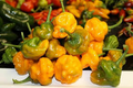 Orange Scotch Bonnet Pepper Seeds – Heirloom, Non-GMO, Hot & Spicy, Capsicum chinense, 20 Seeds