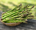 Jersey Knight Live Asparagus Bare Root Plants, 2-Year Crowns, Asparagus officinalis, High-Yield, Easy to Grow
