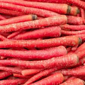 Atomic Red Carrot Seeds | Heirloom - Non-GMO | 150-15,000 Seeds | Deep Red Carrots | Sweet & Crisp | USDA Zones 2-10 |