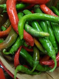 30 Seeds Hot Cayenne Red Long Pepper – Capsicum annuum | Heirloom Hot Pepper Seeds for Planting, Spicy Culinary Use & Gardening