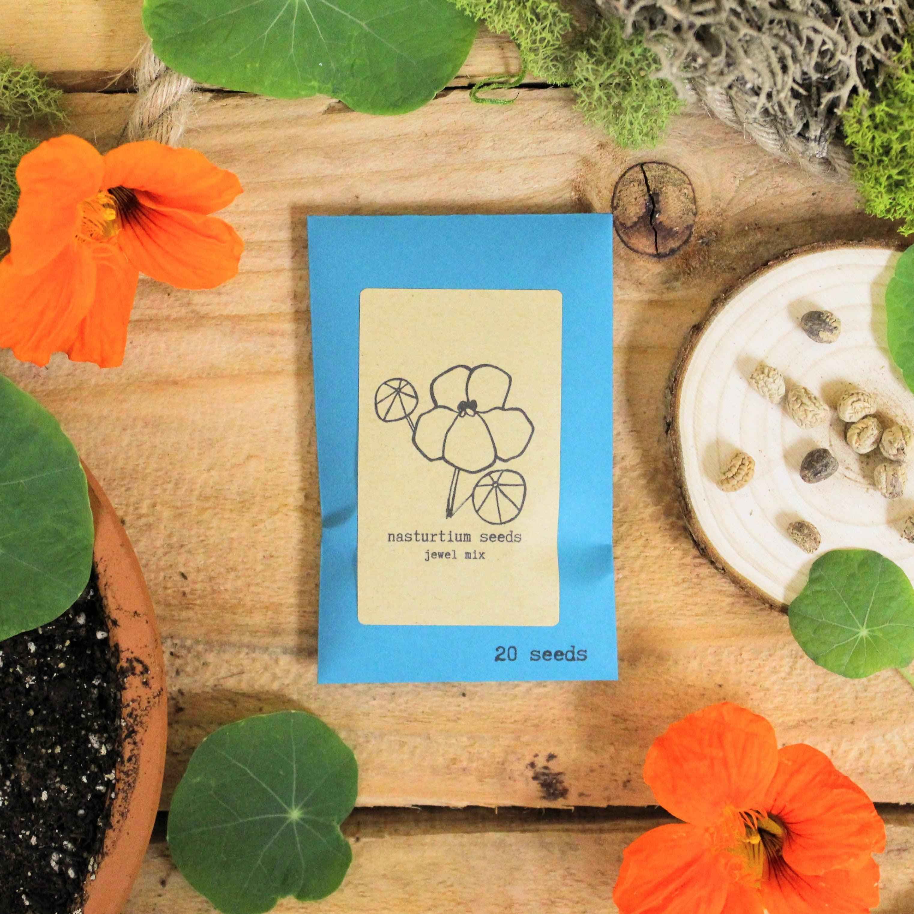 "Indoor Blooms" Seed Collection