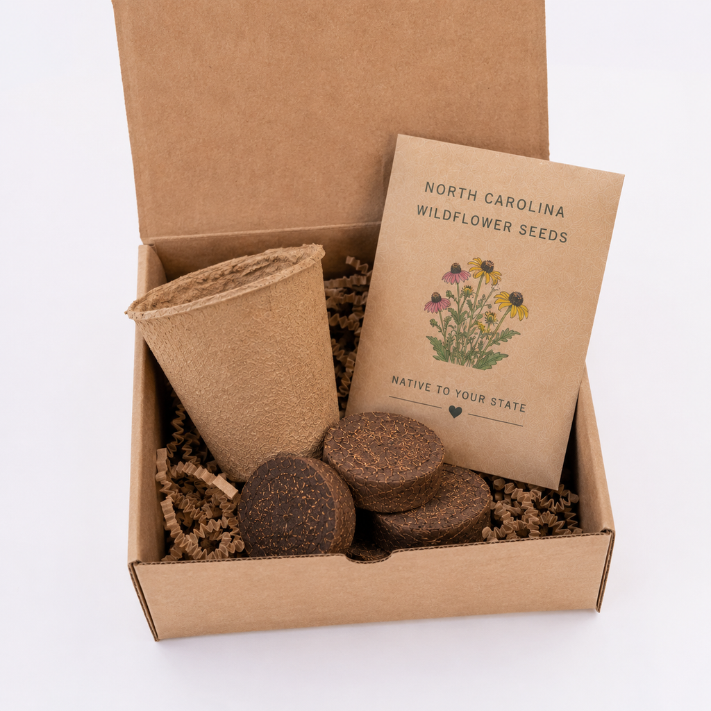 Wisconsin Blue Cornflower Wildflower Grow Kit