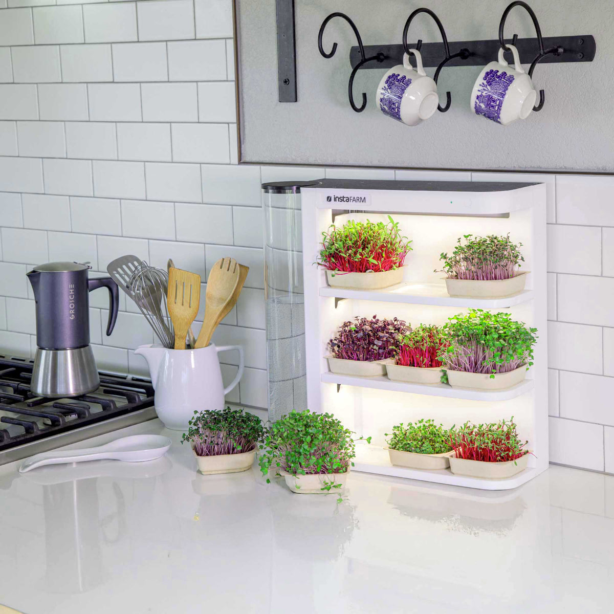 Instafarm -  (Countertop Farm)