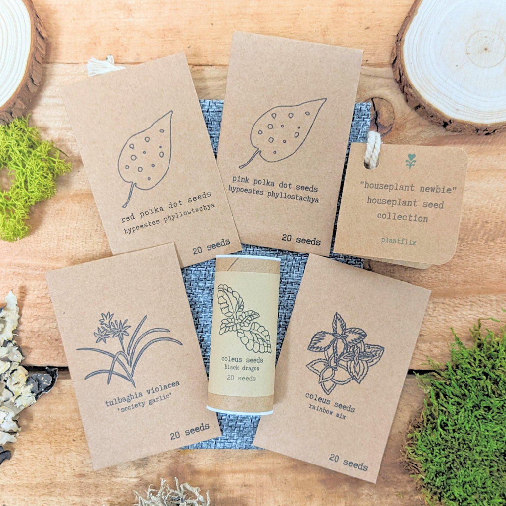 "Houseplant Newbie" Houseplant Seed Collection