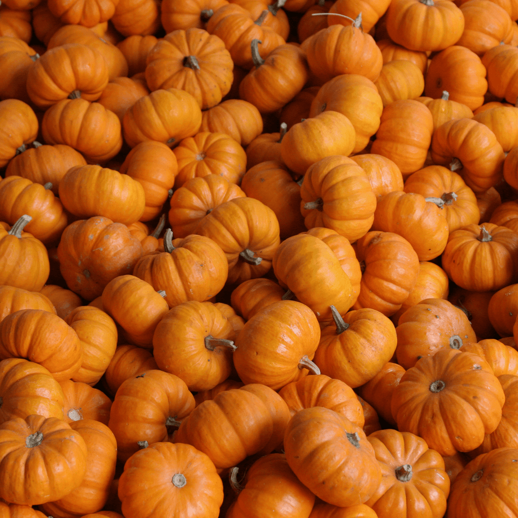 Pumpkin Seeds