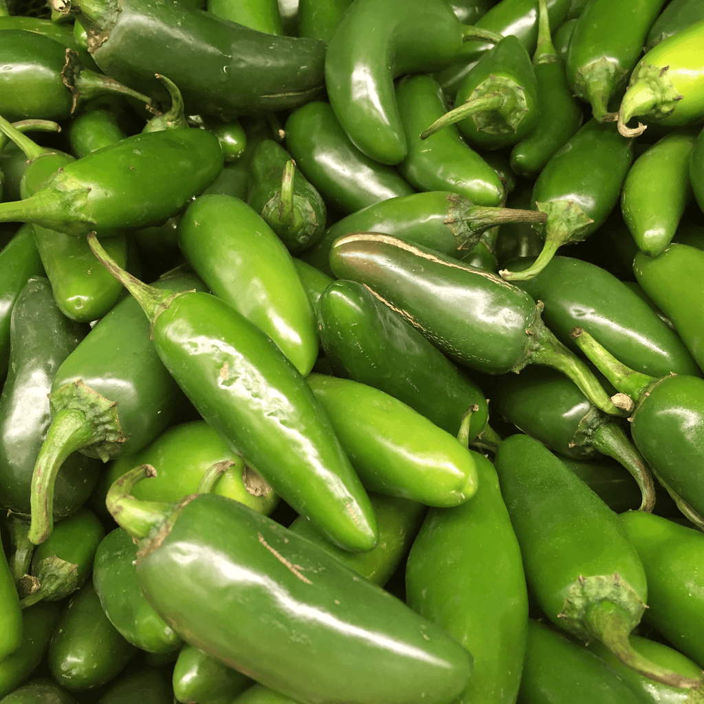 Jalapeño Pepper Seeds