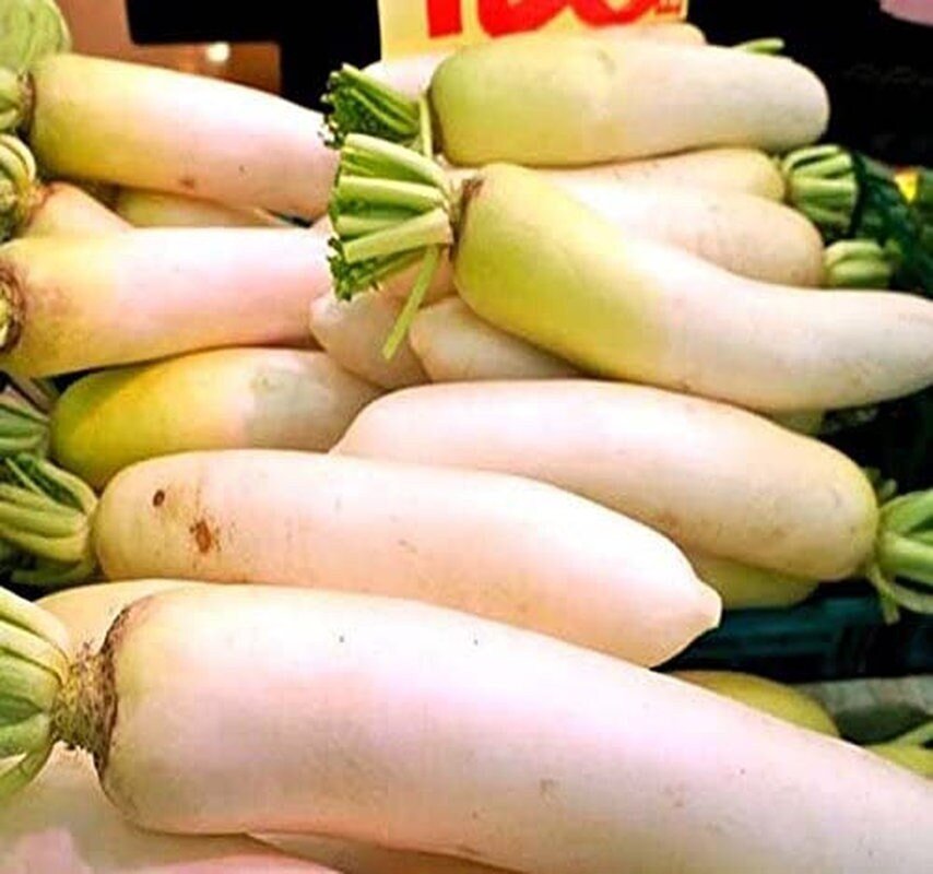 Japanese Daikon - 1000 Seeds - Daikon Radish Seeds - Japanese Radish - Non-Gmo