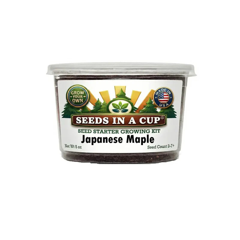 Japanese Maple Grow Kit | Grow Japanese Maple from Seed | Seeds In A Cup®