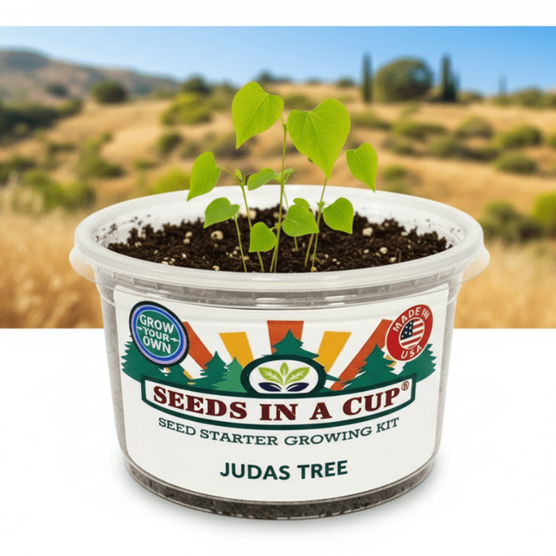 Tree & Vine Growing Kit - Choose Your Tree Type