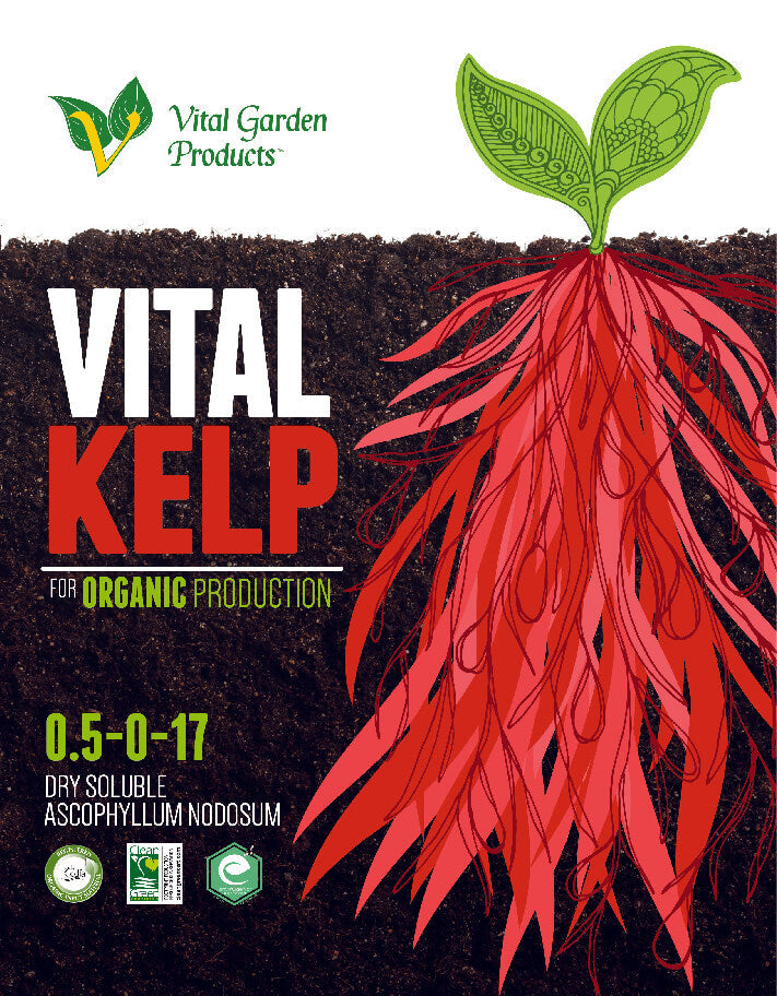 Vital Kelp - Soluble Kelp Fertilizer 0.5-0-17