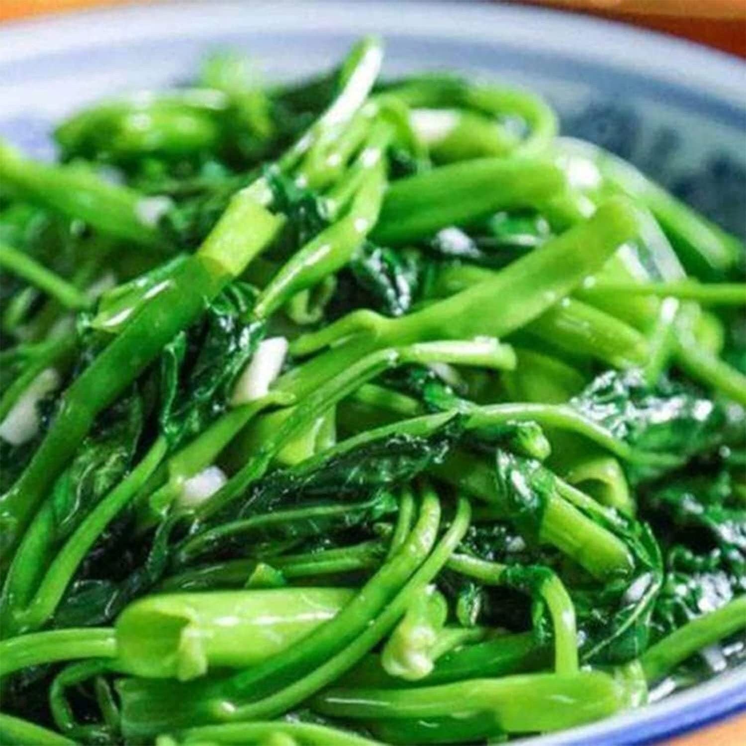 Kong Xin CAI Seeds for Yard & Garden - Non-Gmo Rau Muong Green Leaf Vegetable Seeds for Planting - 95% Germination Rate Choy Ong Seeds Produ