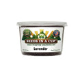 Lavender Grow Kit | Grow Fresh Lavender from Seed | Seeds In A Cup®