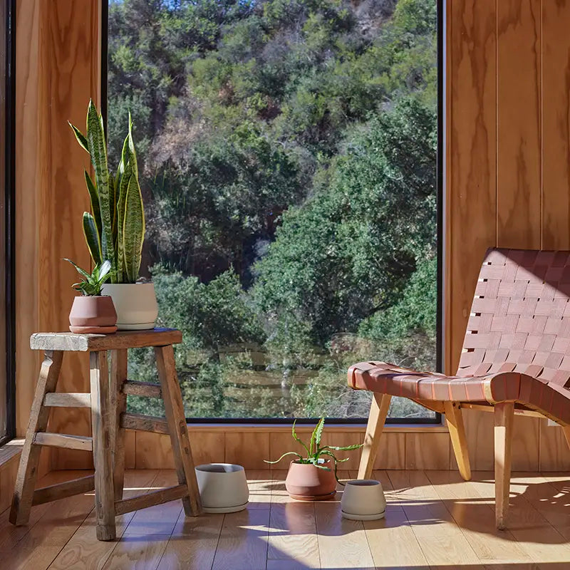 The Rancho Planter