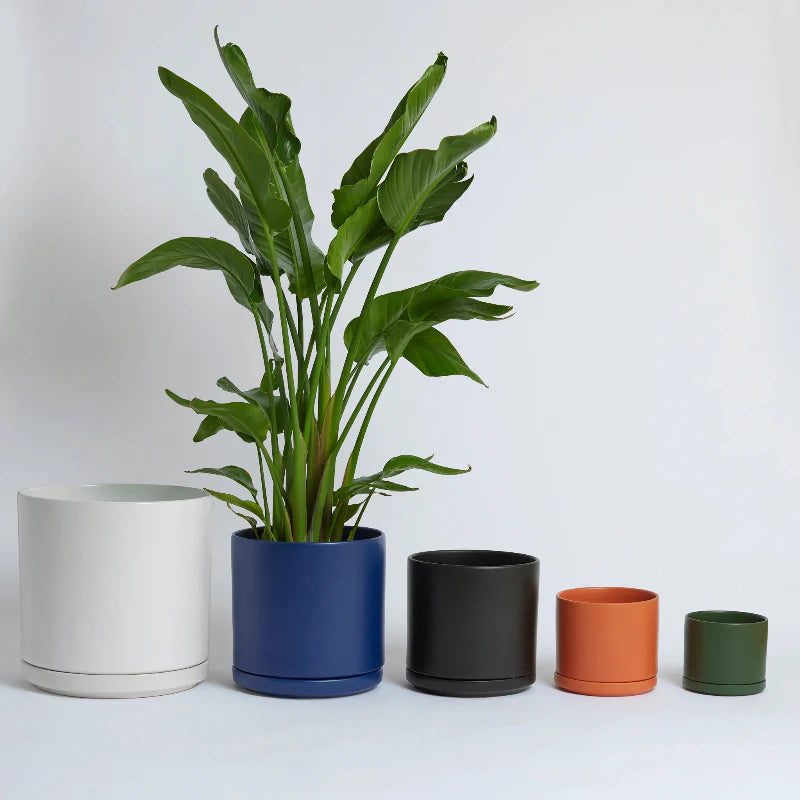 Solid Goods Ceramic Cylinder Planter with Saucer