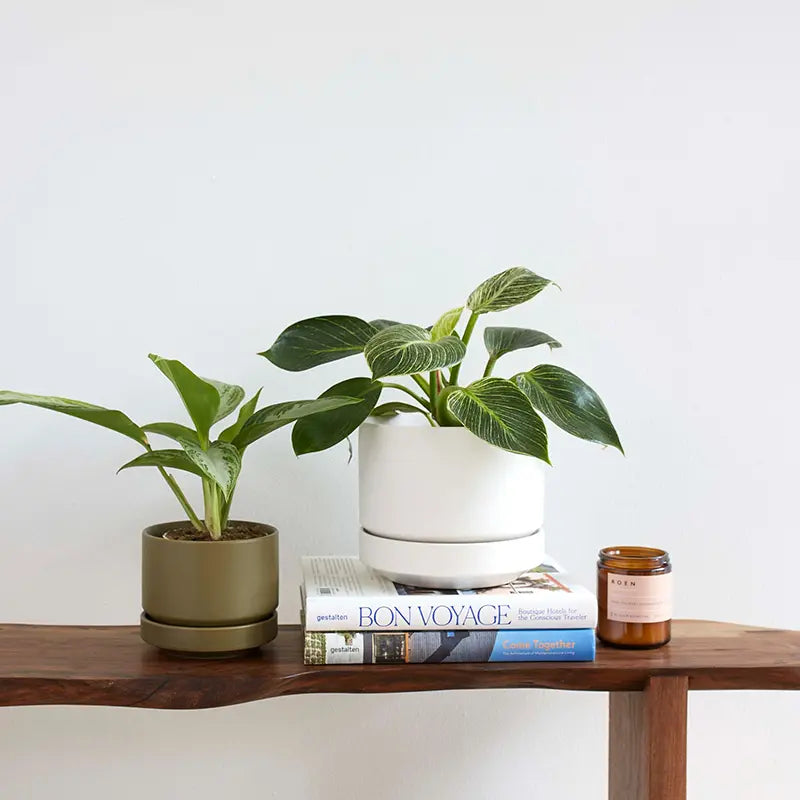 Round Two Planter