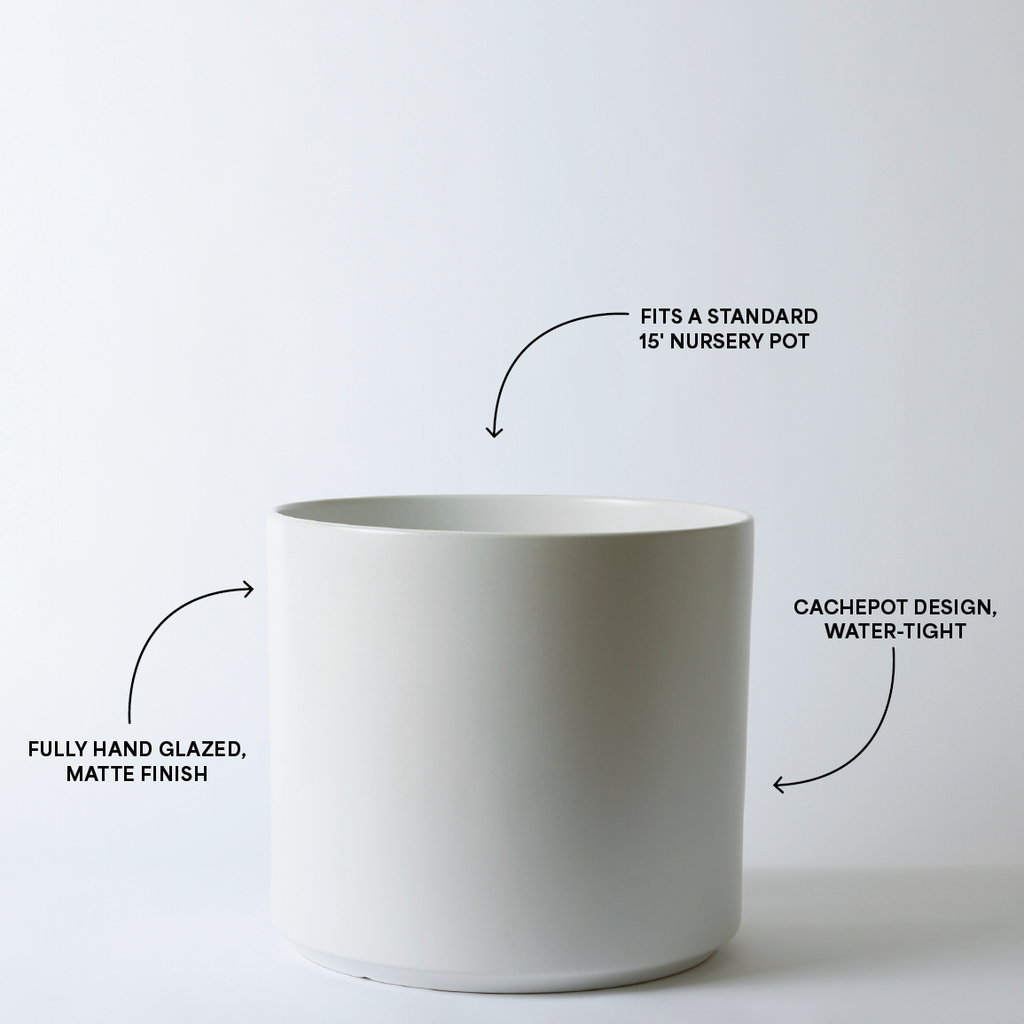 Solid Goods Ceramic Cylinder Planter – With or Without Mahogany Stand