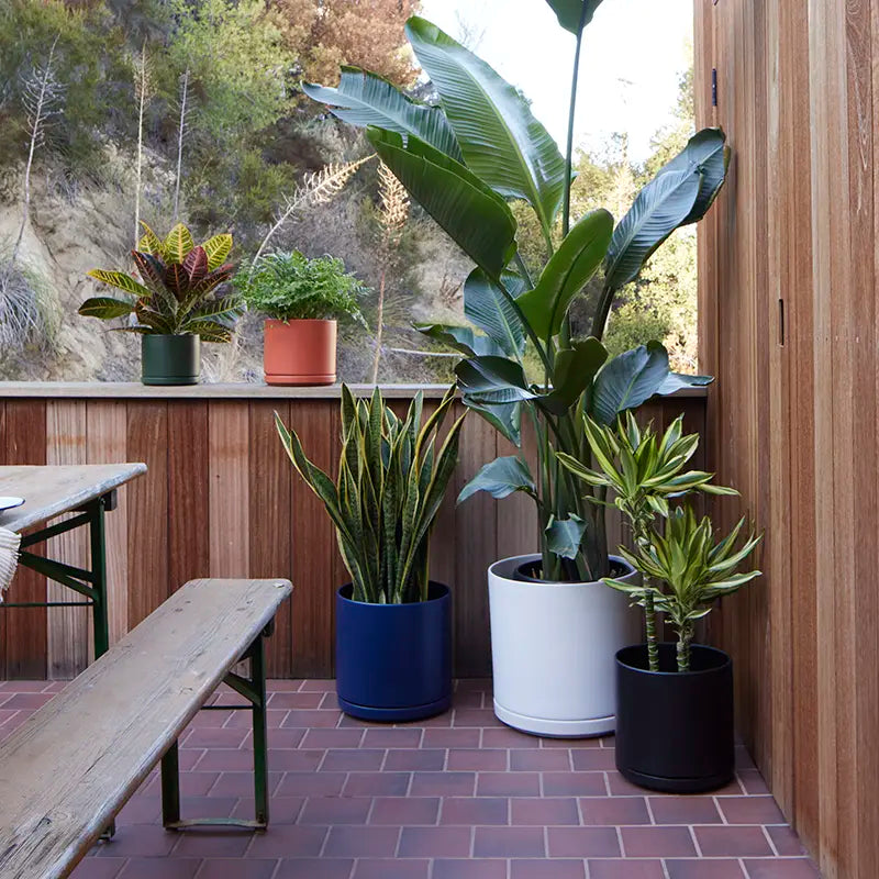 Solid Goods Ceramic Cylinder Planter with Saucer