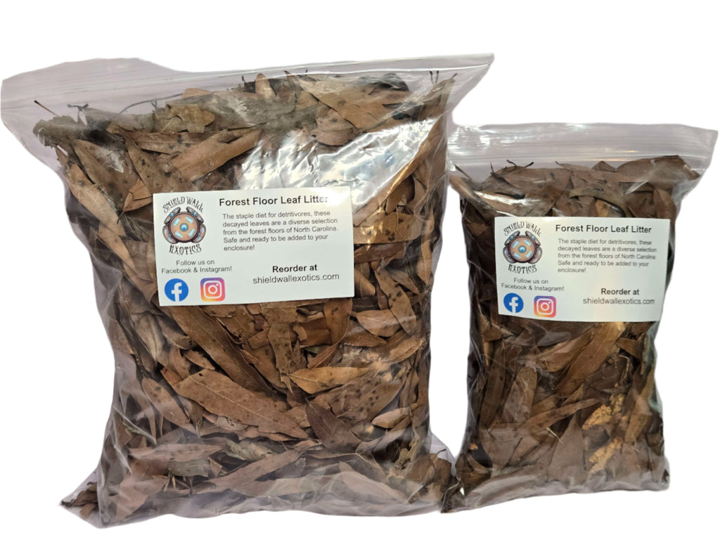 Forest Floor Leaf Litter (3 Sizes!)