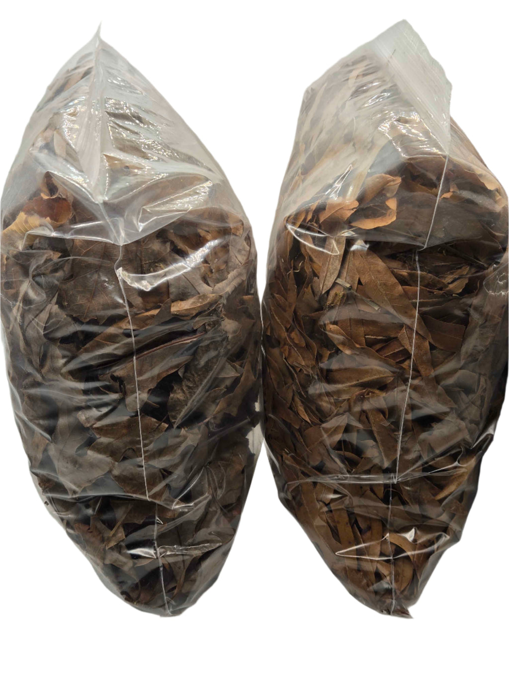 Forest Floor Leaf Litter (3 Sizes!)