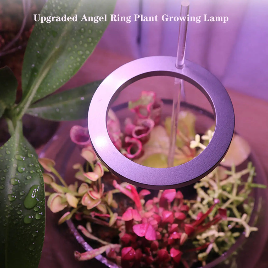 LED Grow Light Full Spectrum Angel Ring USB Lamp for Indoor Plants