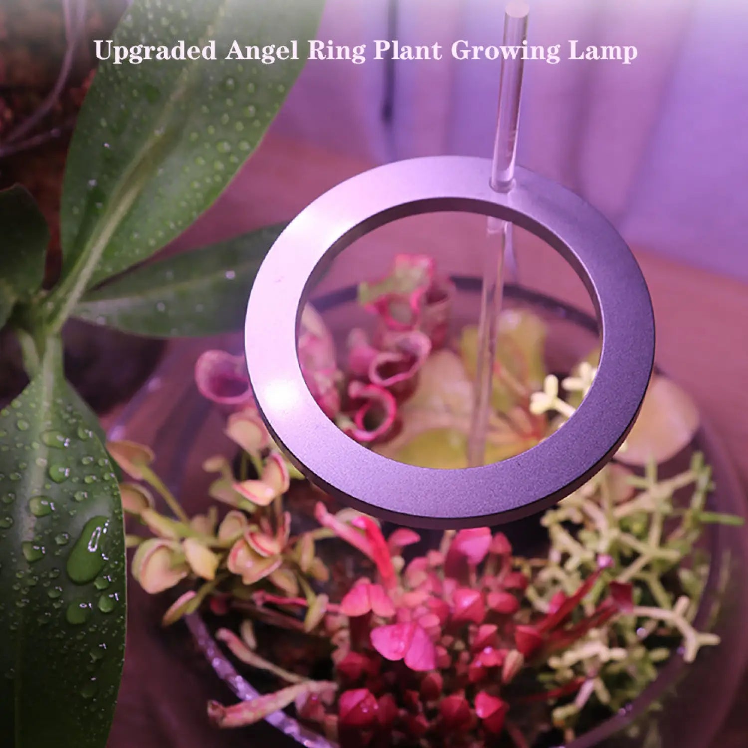LED Grow Light Full Spectrum Angel Ring USB Lamp for Indoor Plants