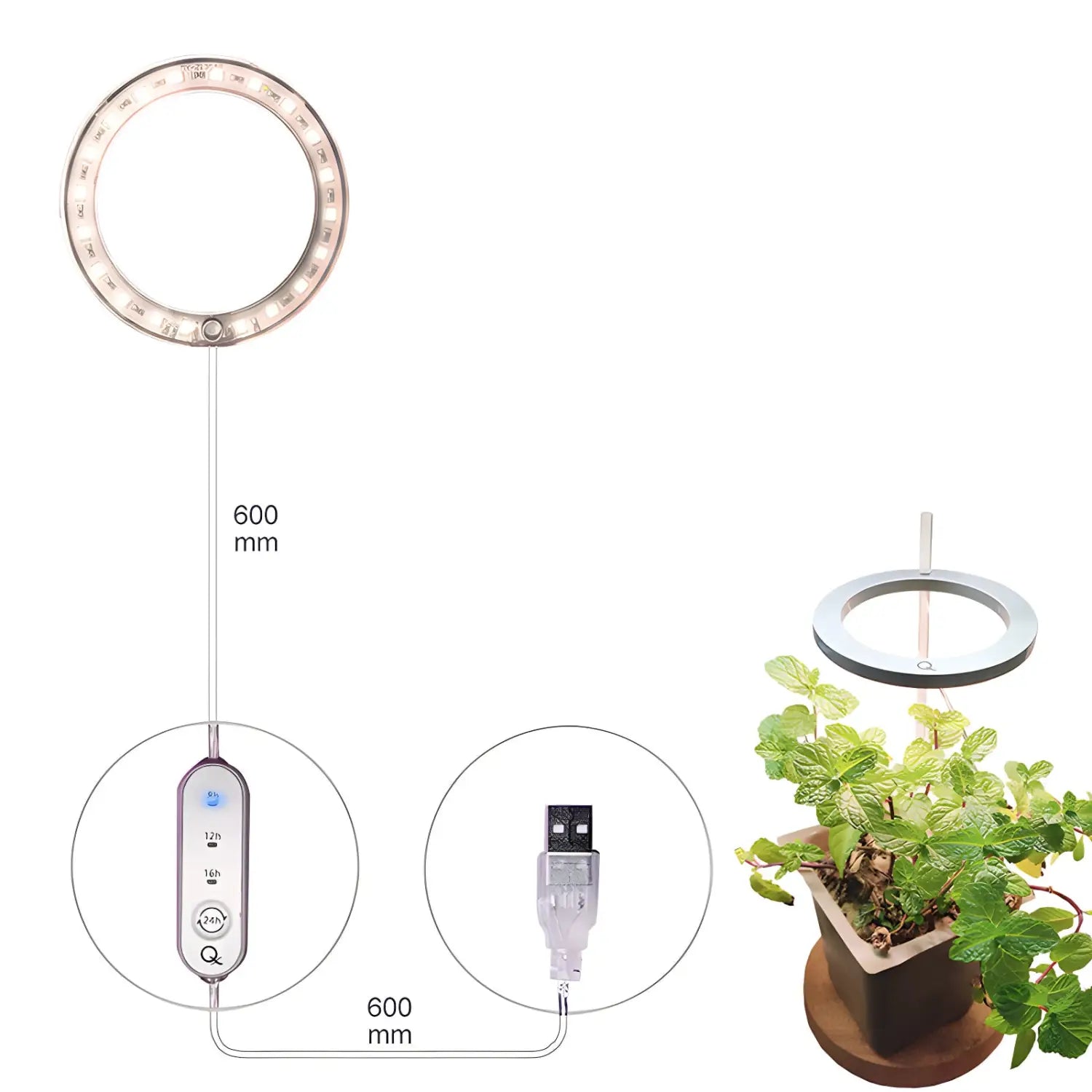 LED Grow Light Full Spectrum Angel Ring USB Lamp for Indoor Plants