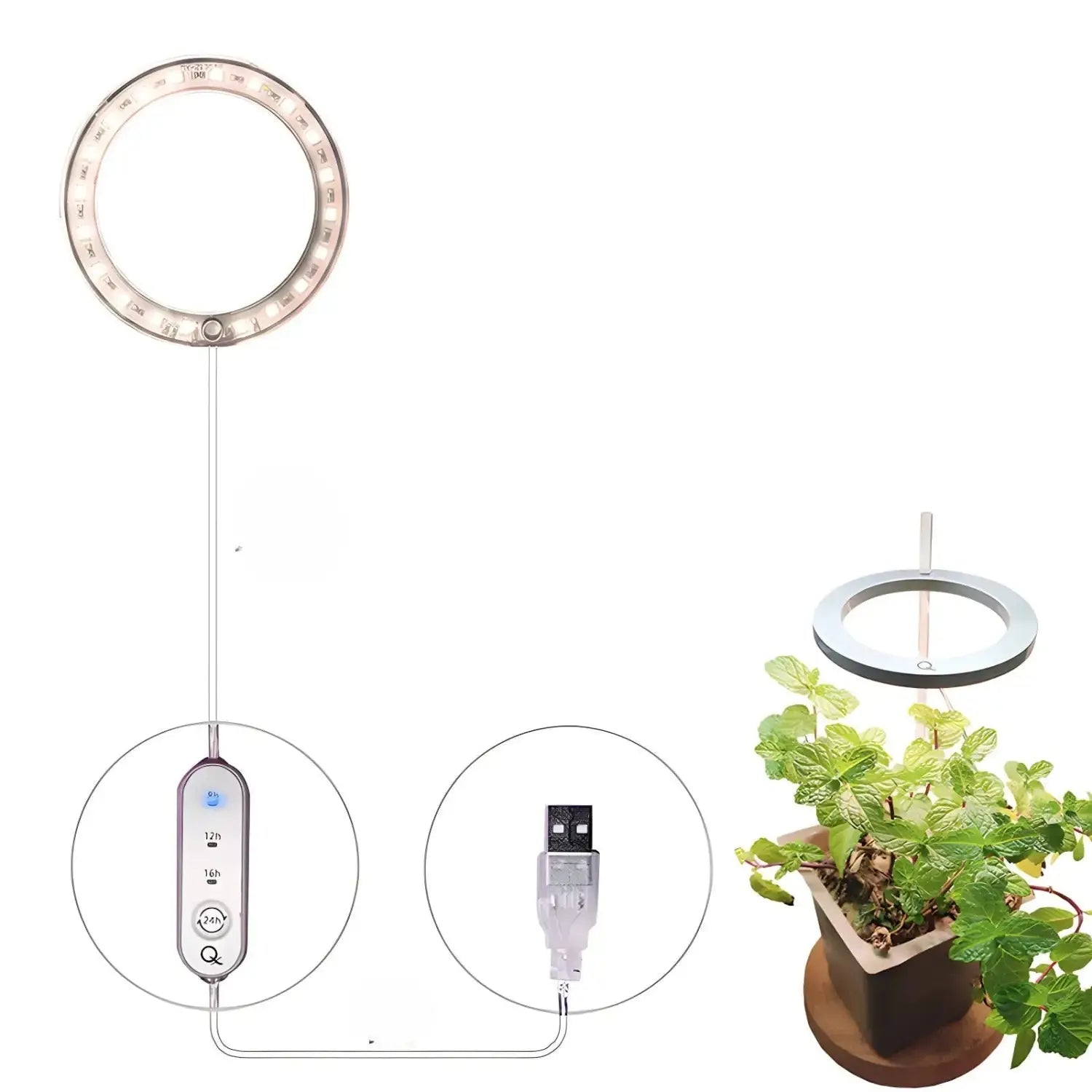 LED Grow Light Full Spectrum Angel Ring USB Lamp for Indoor Plants